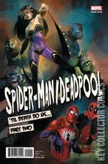 Variant Cover for Spider-Man / Deadpool #15