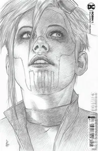 Robin #1
