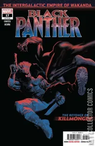 Black Panther #17