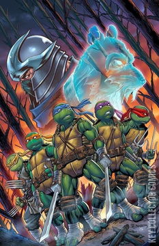 Variant Cover for Teenage Mutant Ninja Turtles #132