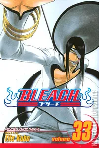 Bleach #33