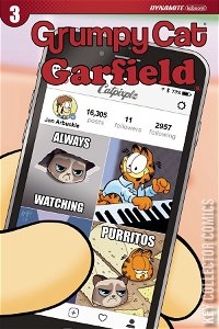 Grumpy Cat / Garfield #3