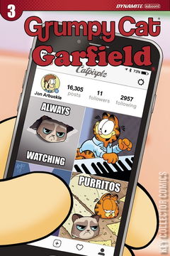 Variant Cover for Grumpy Cat / Garfield #3