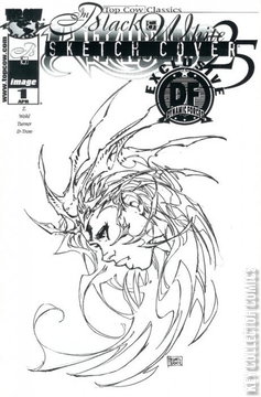 Variant Cover for Witchblade #25