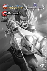 Cover for Thundercats x Silverhawks #1
