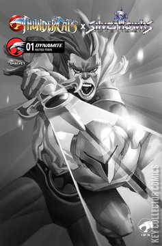 Variant Cover for Thundercats x Silverhawks #1