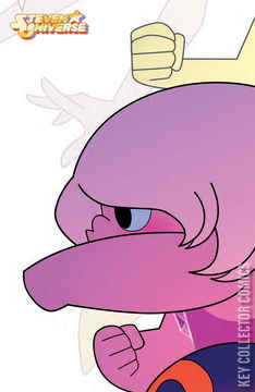 Variant Cover for Steven Universe #6