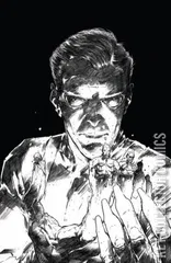 Variant Cover for The Hypernaturals #2