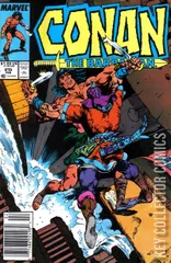 Variant Cover for Conan the Barbarian #215