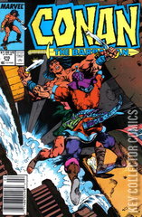 Variant Cover for Conan the Barbarian #215