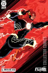 Cover for Flash #25
