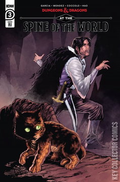 Variant Cover for Dungeons & Dragons: At the Spine of the World #3