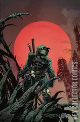 Variant Cover for Teenage Mutant Ninja Turtles: The Last Ronin #2