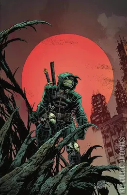 Teenage Mutant Ninja Turtles: The Last Ronin