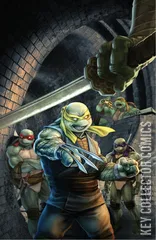 Variant Cover for Teenage Mutant Ninja Turtles: Jennika II #1