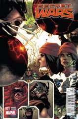 Variant Cover for Secret Wars #1