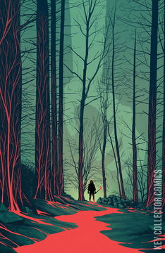 Variant Cover for The Woods #13