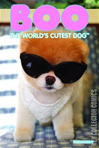 Boo: The World's Cutest Dog #3