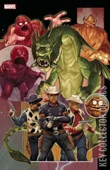 Variant Cover for Amazing Spider-Man #13