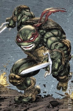 Variant Cover for Teenage Mutant Ninja Turtles #108