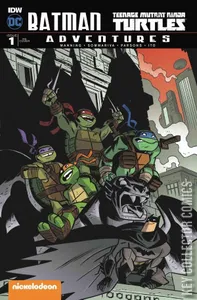 Batman / Teenage Mutant Ninja Turtles Adventures #1