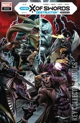 Variant Cover for X of Swords: Destruction #1