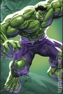 Incredible Hulk, The #28