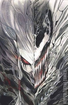 Variant Cover for Venom #30