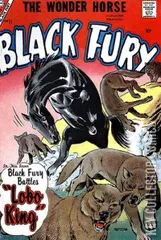 Cover for Black Fury #11