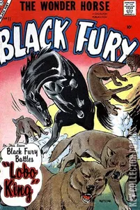 Black Fury #11