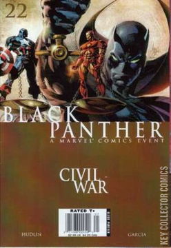 Variant Cover for Black Panther #22