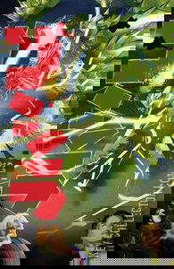 Godzilla: Kai Sei Era #7