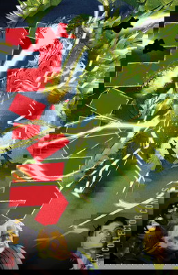 Godzilla: Kai Sei Era