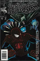 Variant Cover for Peter Parker: The Spectacular Spider-Man #207