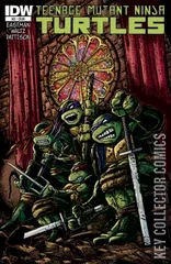 Cover for Teenage Mutant Ninja Turtles #21