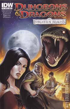 Variant Cover for Dungeons & Dragons: Forgotten Realms #2