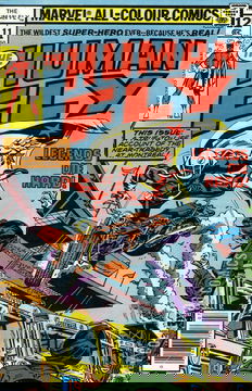 Variant Cover for Human Fly, The #11