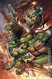 Teenage Mutant Ninja Turtles #80