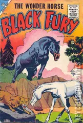 Cover for Black Fury #3