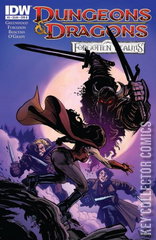 Variant Cover for Dungeons & Dragons: Forgotten Realms #5
