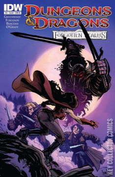 Variant Cover for Dungeons & Dragons: Forgotten Realms #5