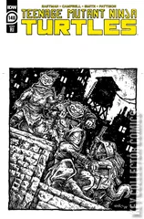 Variant Cover for Teenage Mutant Ninja Turtles #140