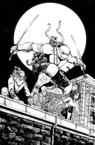 Teenage Mutant Ninja Turtles #144