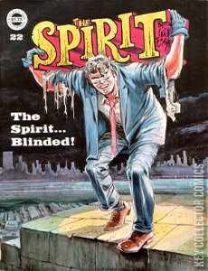 The Spirit #22