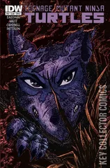 Variant Cover for Teenage Mutant Ninja Turtles #30