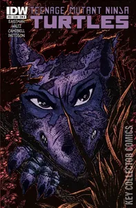 Teenage Mutant Ninja Turtles #30