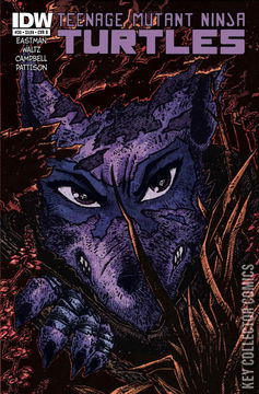 Variant Cover for Teenage Mutant Ninja Turtles #30