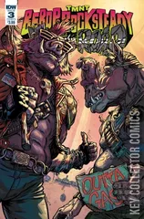 Variant Cover for Teenage Mutant Ninja Turtles: Bebop & Rocksteady Hit the Road #3