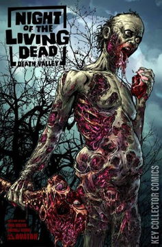 Variant Cover for Night of the Living Dead: Death Valley #2