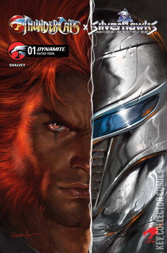 Variant Cover for Thundercats x Silverhawks #1